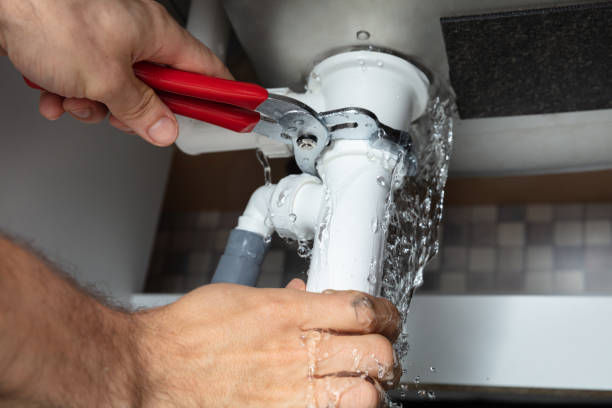 Water damage restoration mold remediation in Norridge, IL