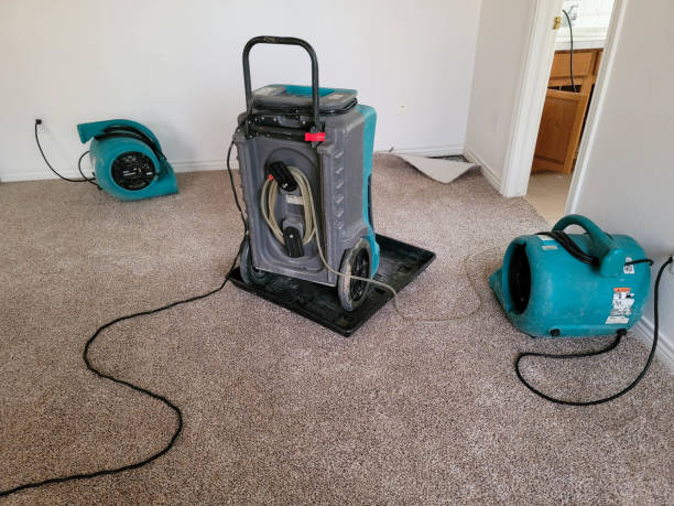 Best Emergency water damage restoration  in Norridge, IL