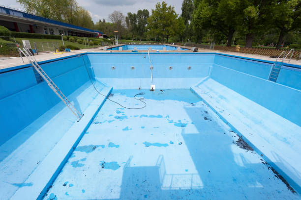 Best Professional water damage repair  in Norridge, IL