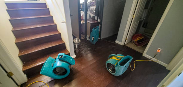 Best Basement water damage restoration  in Norridge, IL