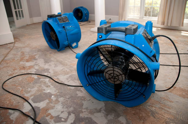 Best Sewage cleanup and water damage restoration  in Norridge, IL