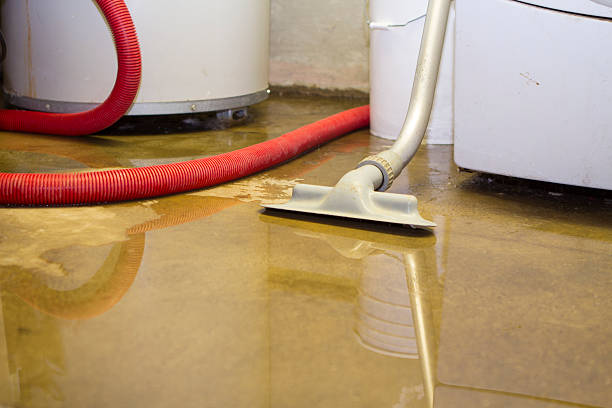 Best Emergency water damage restoration  in Norridge, IL