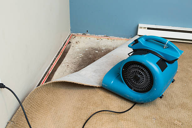 Best Flooded house restoration  in Norridge, IL